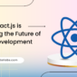 How React.js is Shaping the Future of Web Development